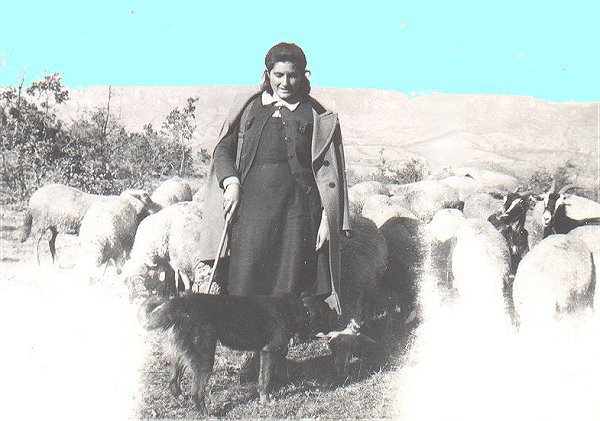 georgette-moutons.jpg (58146 octets)