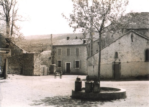 postale-place-platane.jpg (72328 octets)